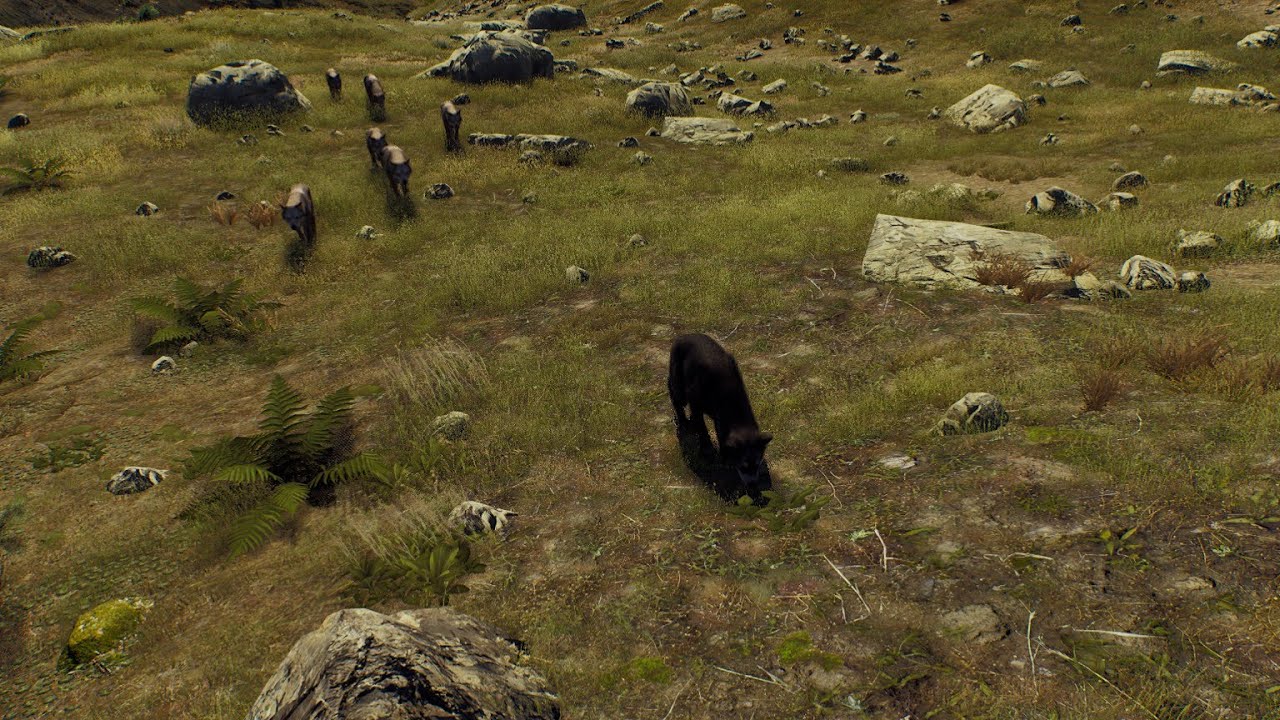 MELANISTIC WOLF! Way of the Hunter Transylvania Map Job Mission