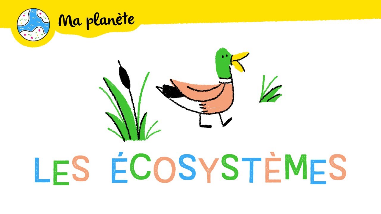Les &eacute;cosyst&egrave;mes expliqu&eacute;s aux enfants - Ma Plan&egrave;te #10