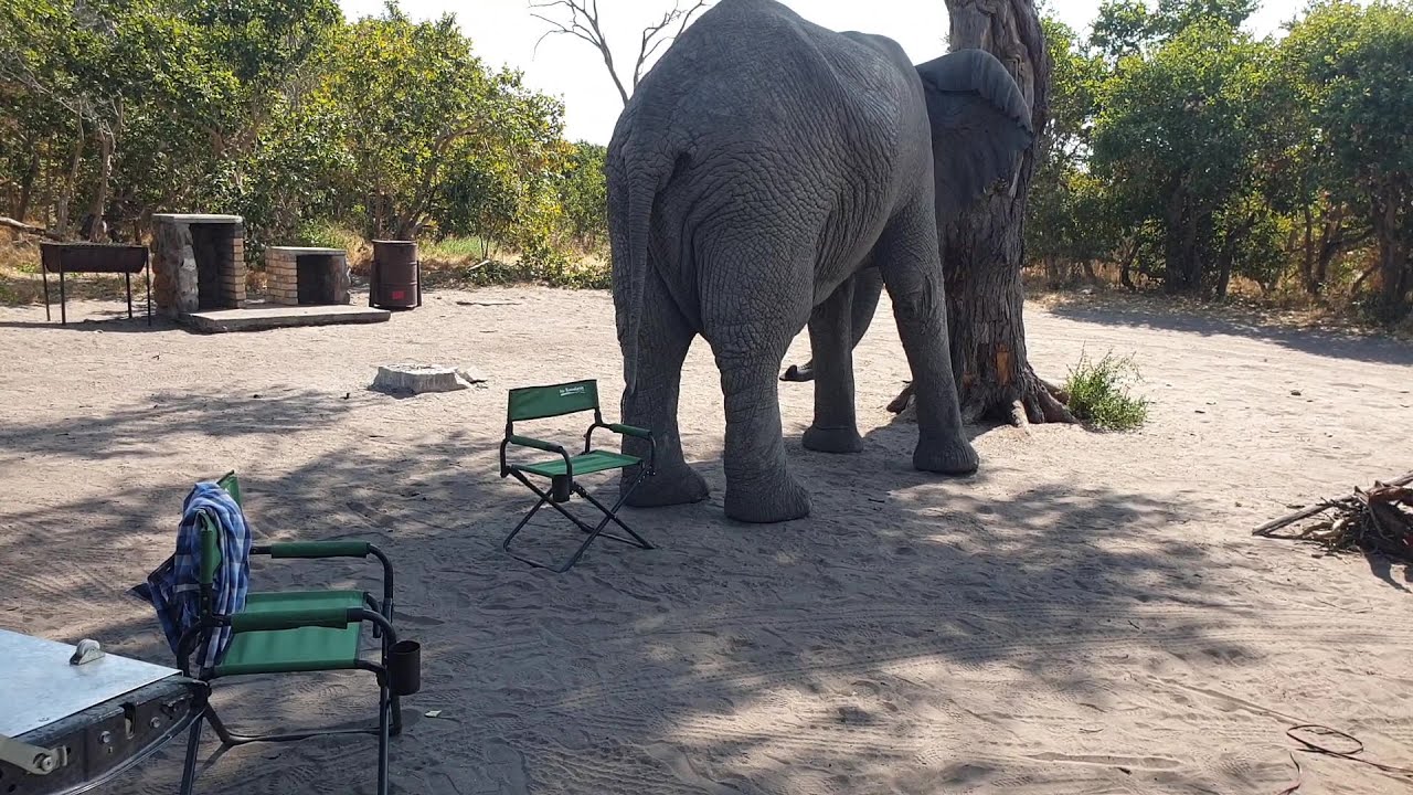 Part 2/4: Botswana/Namibia Tour May 2023.
