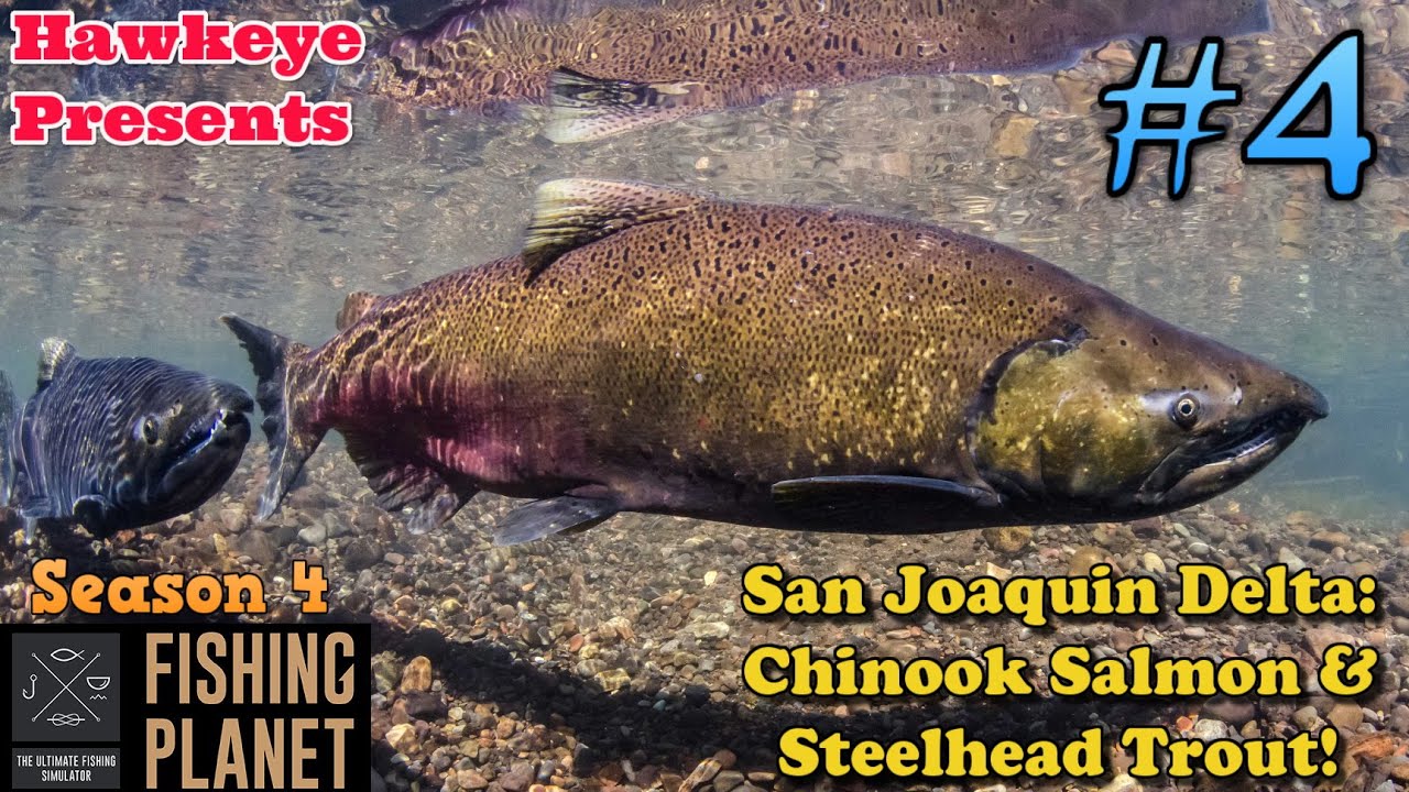 Fishing Planet | #4 - S4 | San Joaquin Delta: Chinook Salmon & Steelhead Trout!