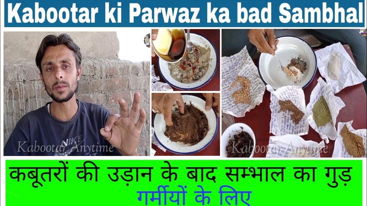 Parwaz se wapsi par Kabootar ki sambhal _ Garmi ki Parvaz se wapsi par sambhal
