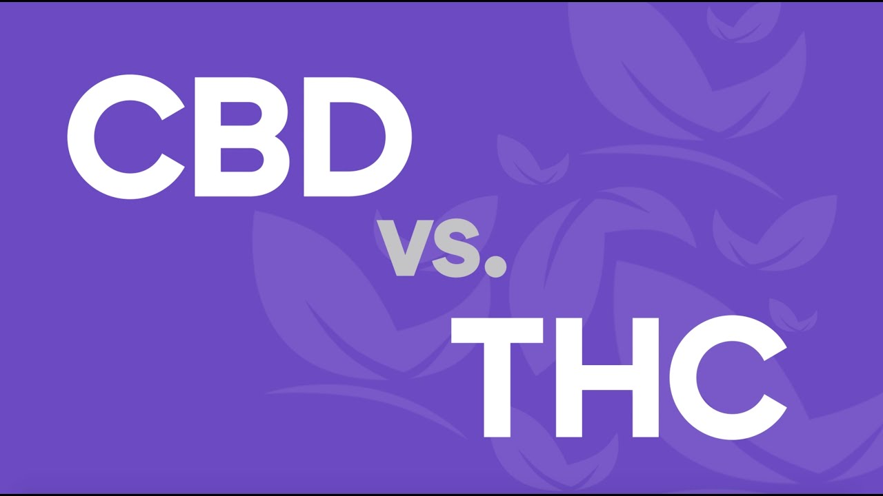 CBD vs THC: What's the Difference?