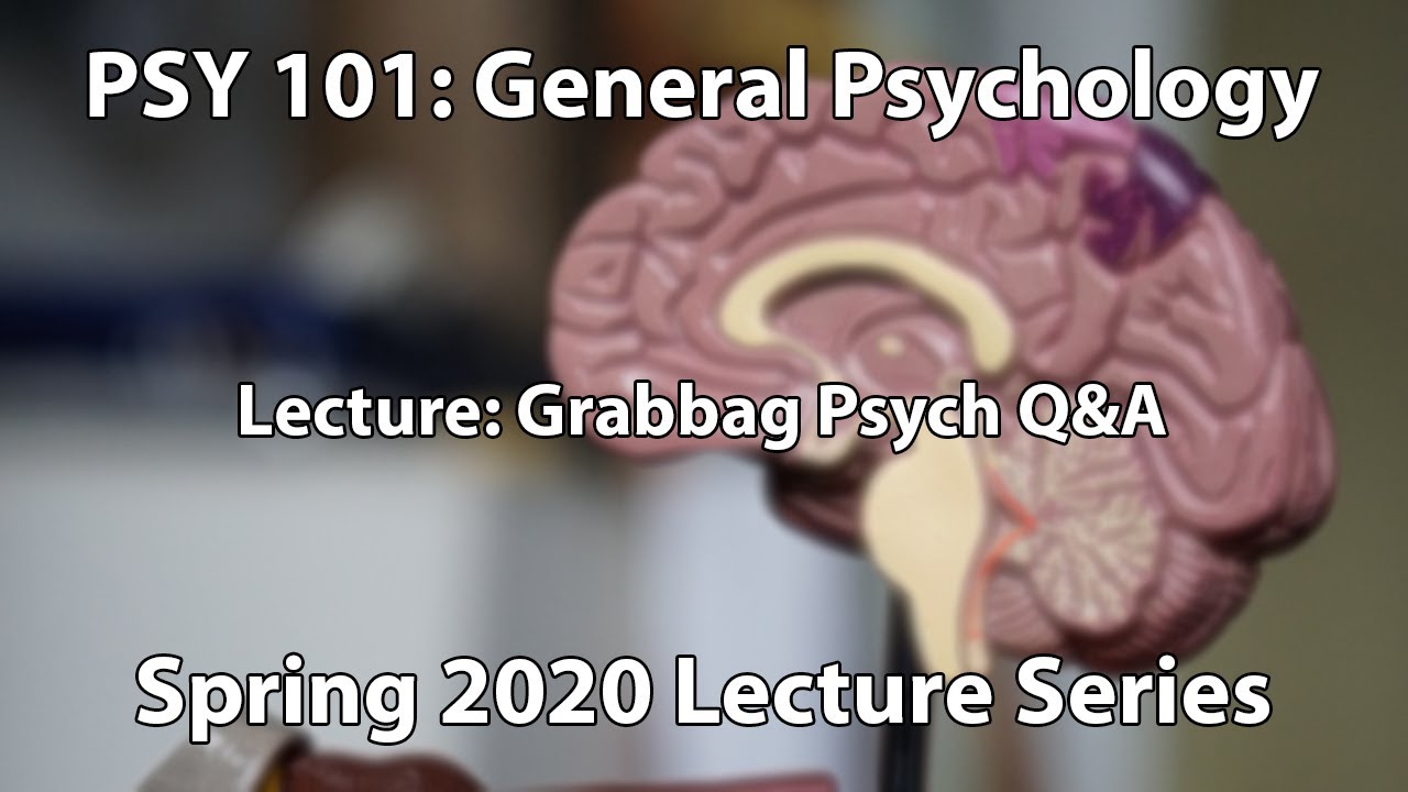 Grabbag Psych & Open Q&A || General Psychology (PSY 101)
