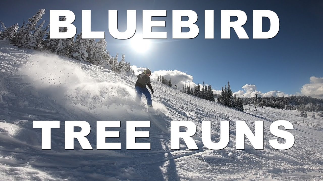 White Pass Snowboarding [Family Shred]