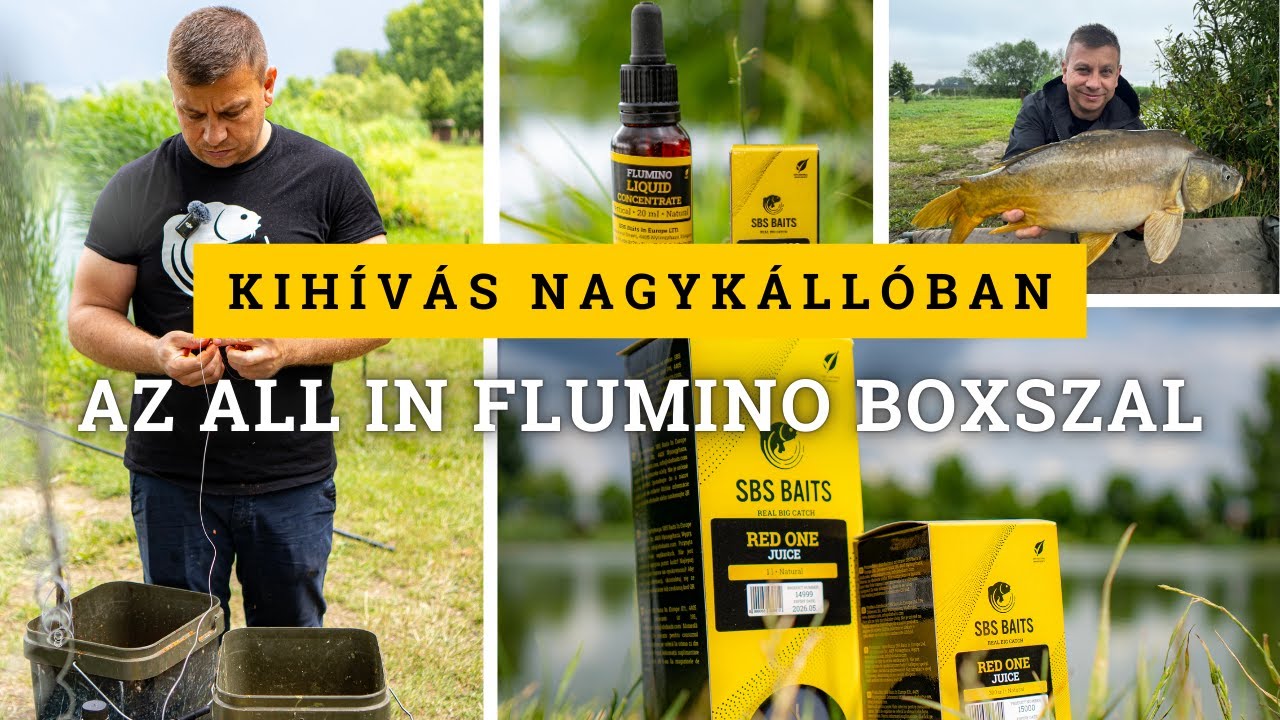 Kih&iacute;v&aacute;s Nagyk&aacute;ll&oacute;ban az All In Flumino Boxszal