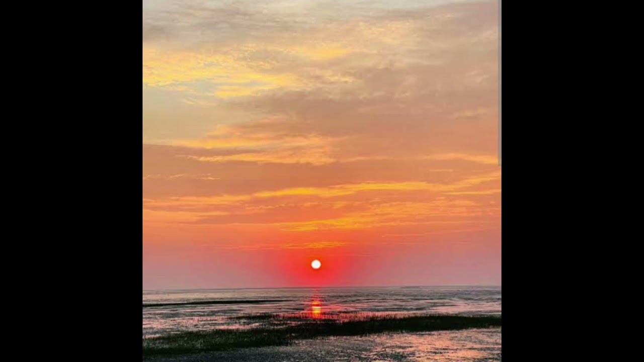 সুন্দর অতিথি।। নজরুল সঙ্গীত।। উপস্থাপনায়: কবিতা কস্তা 🙏💫