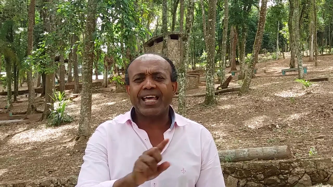 ADÃO E EVA TIVERAM FILHOS ANTES DO PECADO?