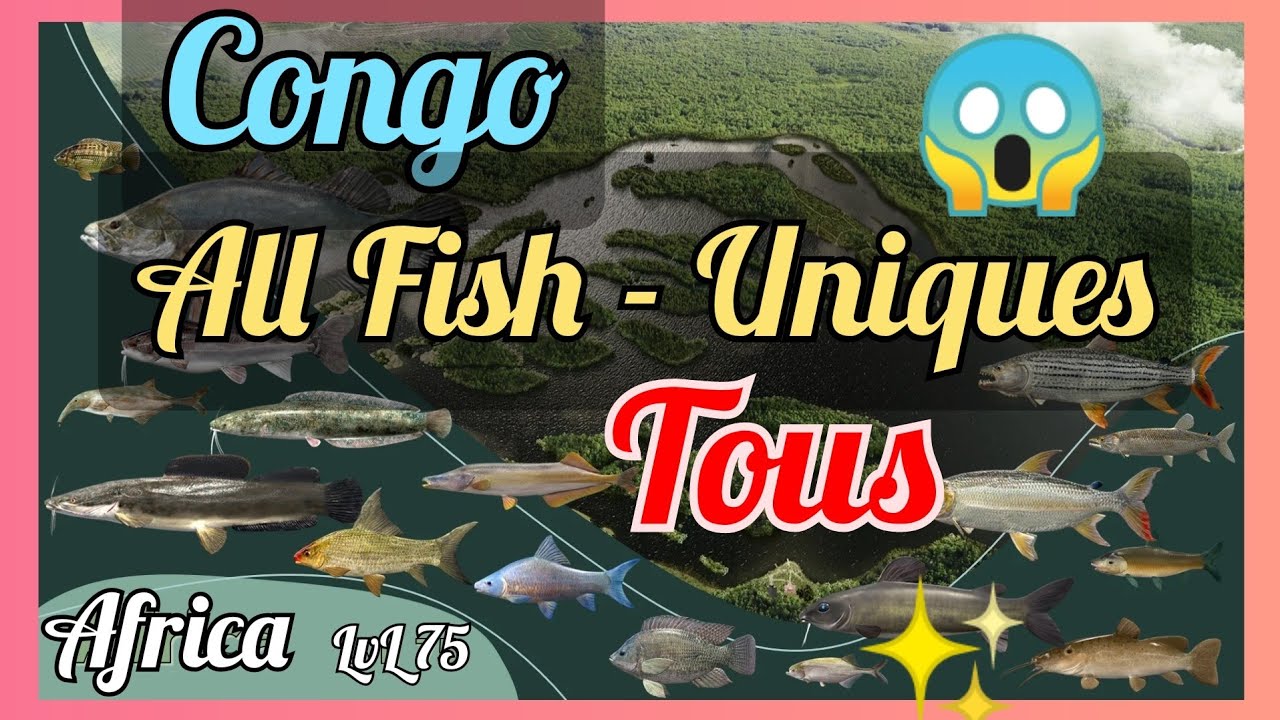 ALL 17 FISH - CONGO RIVER AFRICA - LVL 75