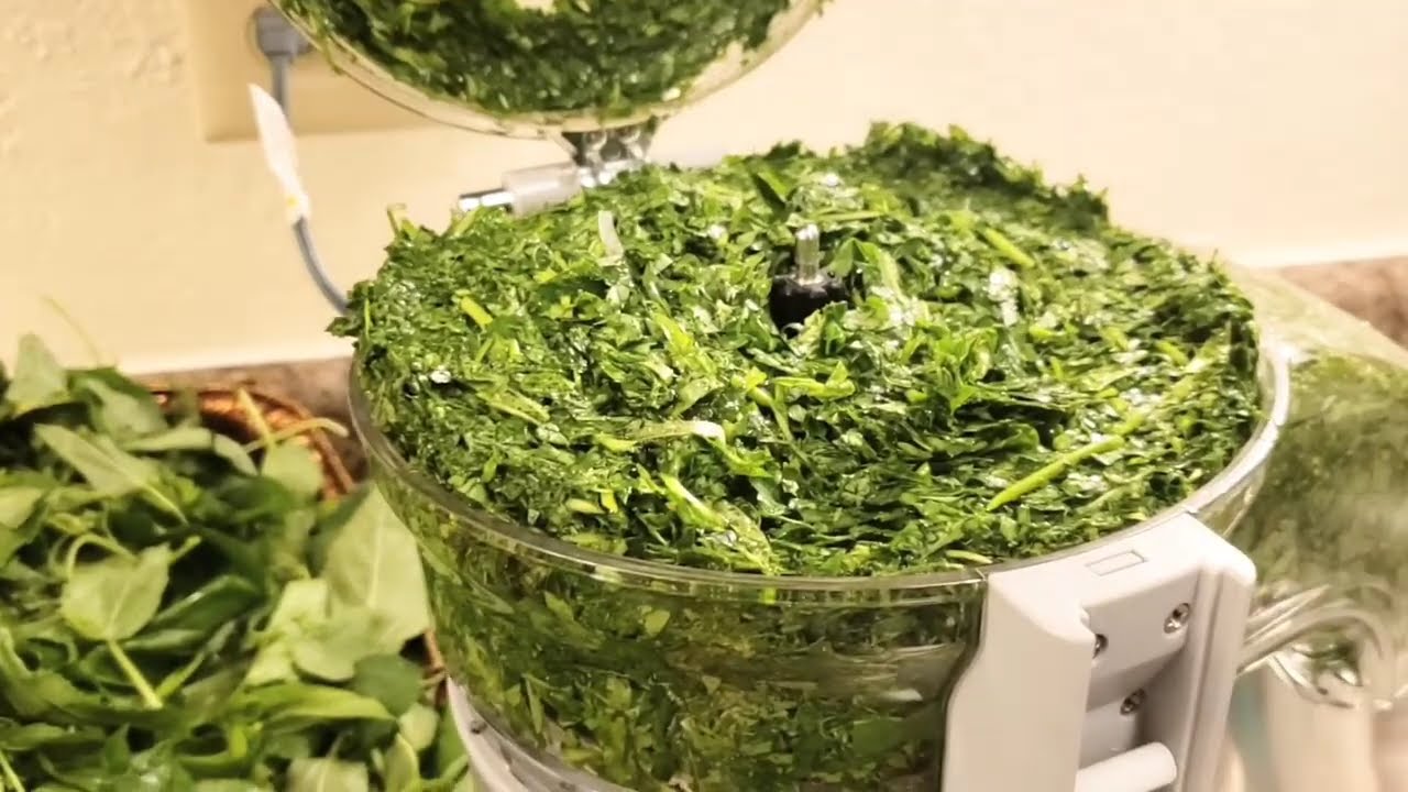 HOW VEGGIE BULLET WORK! SHRED MY PALAVA SAUCE, TRY IT OUT