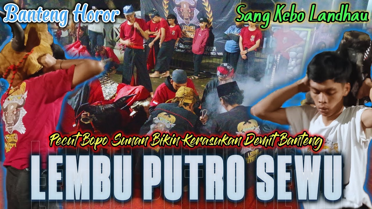 PECUT BOPO SUNAN BIKIN KERASUKAN BANTENG ‼️ LEMBU PUTRO SEWU SANG KEBO LANDHAU LIVE in KARANGKUNCI