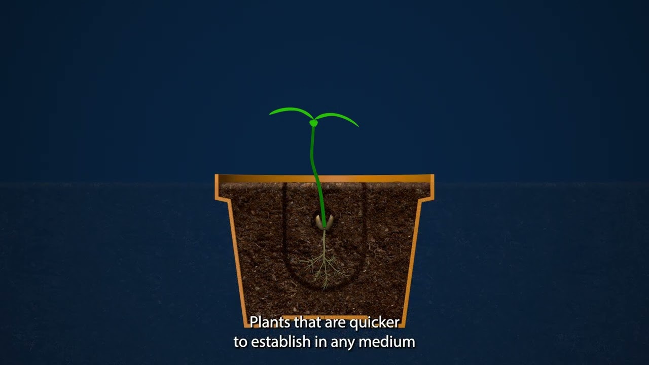 Mills Nutrients Start R