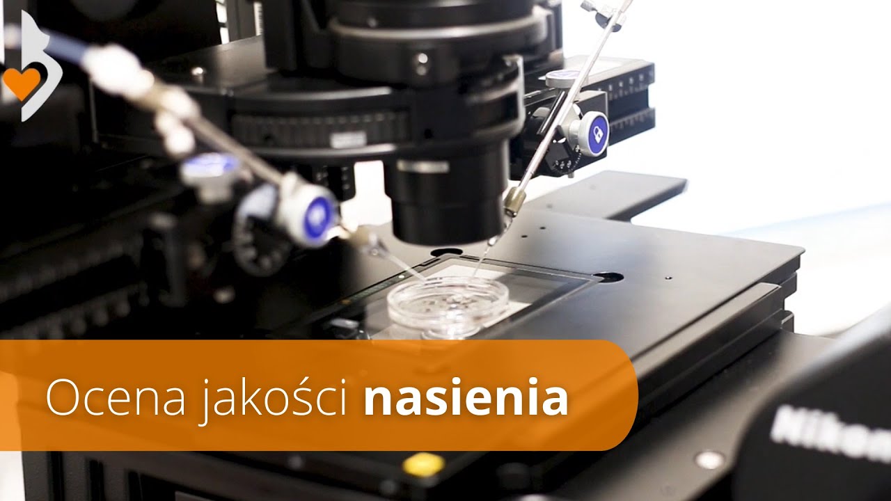 Embriologia #2 - Ocena jakości nasienia