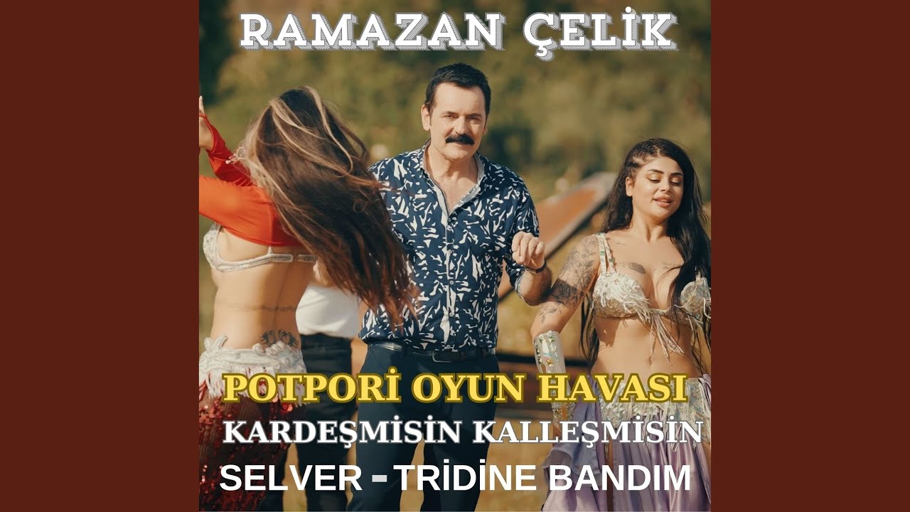 Kardeşmisin Kalleşmisin / Silver / Tridine Bandım / Potpori Oyun Havası