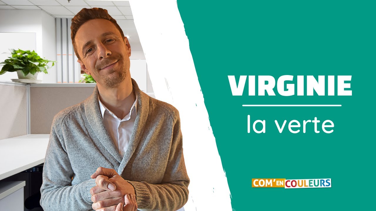 🟩 METHODE DISC : Comprendre le profil VERT