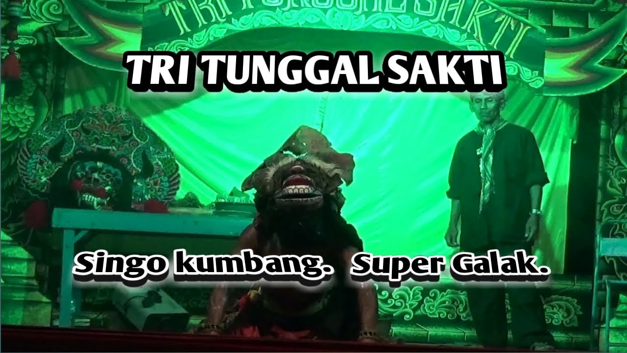 TRI TUNGGAL SAKTI || Tari Singo Kumbang Galak ~ Live Loderesan