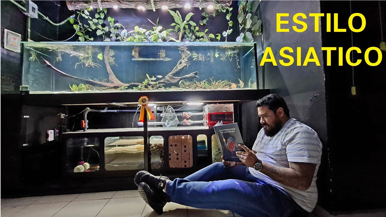 El Unico Filtro Wet/Dry Estilo Asiatico para Acuario Amazonico de 1,200 Litros (Chars Fishers)