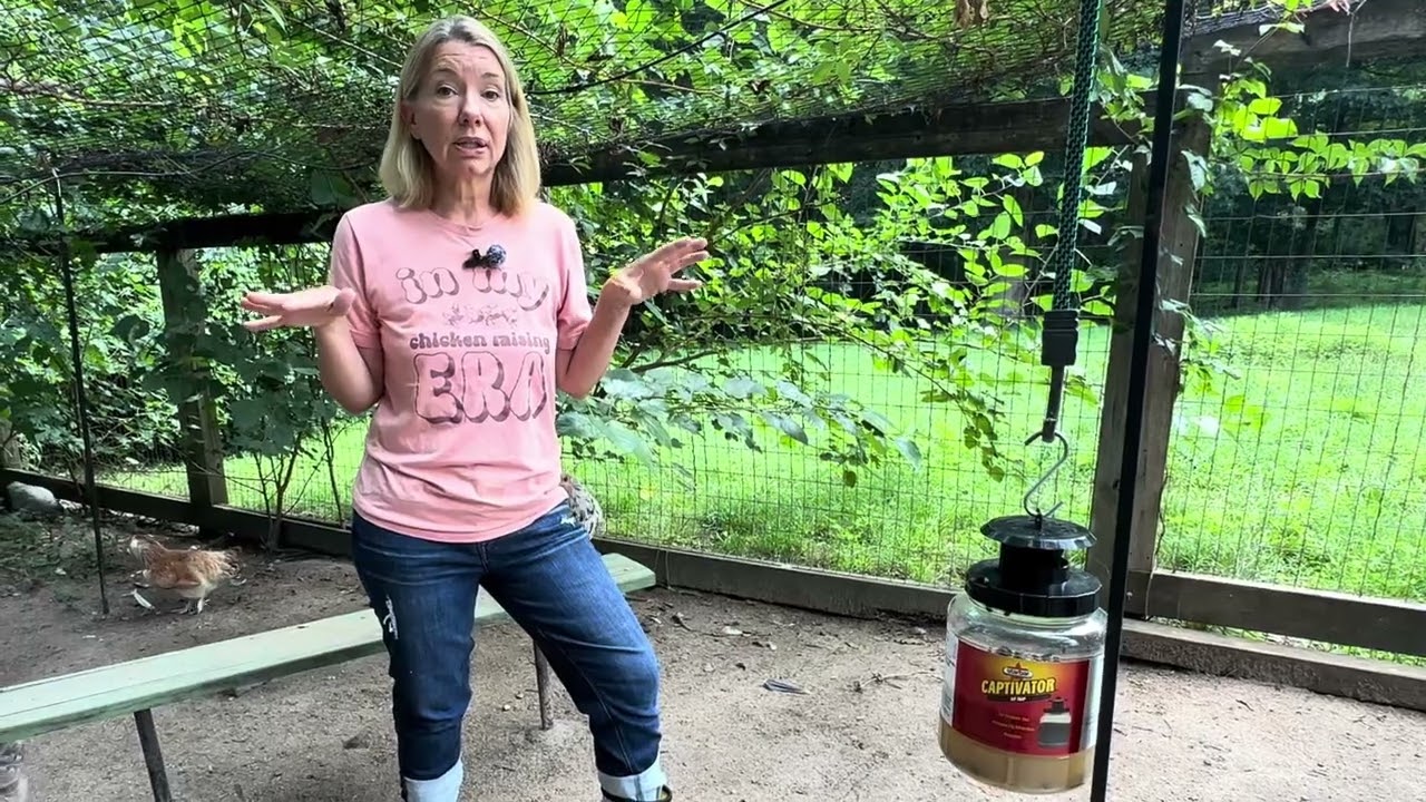 The Best Fly Trap for Chicken Coops! Finally Something That WORKS
