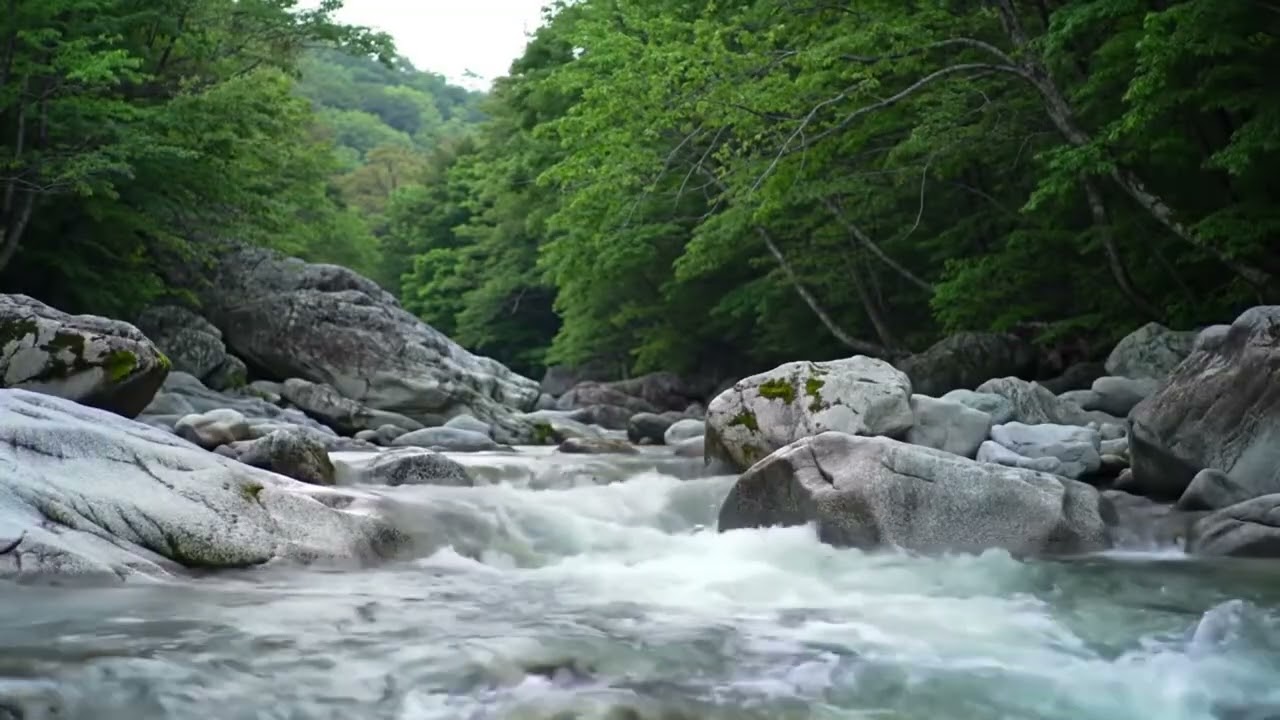 Relaxing River Flow Over Rocks | Calming Nature Sounds for Sleep & Meditation