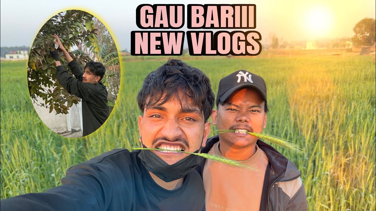 Gau bariii belautiii chordaii..!!!😂😂