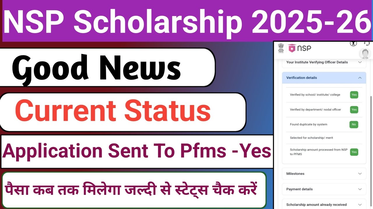 NSP Status Change 2026 | NSP Current Status | NSP Current Status Change Hone laga | NSP Payment 