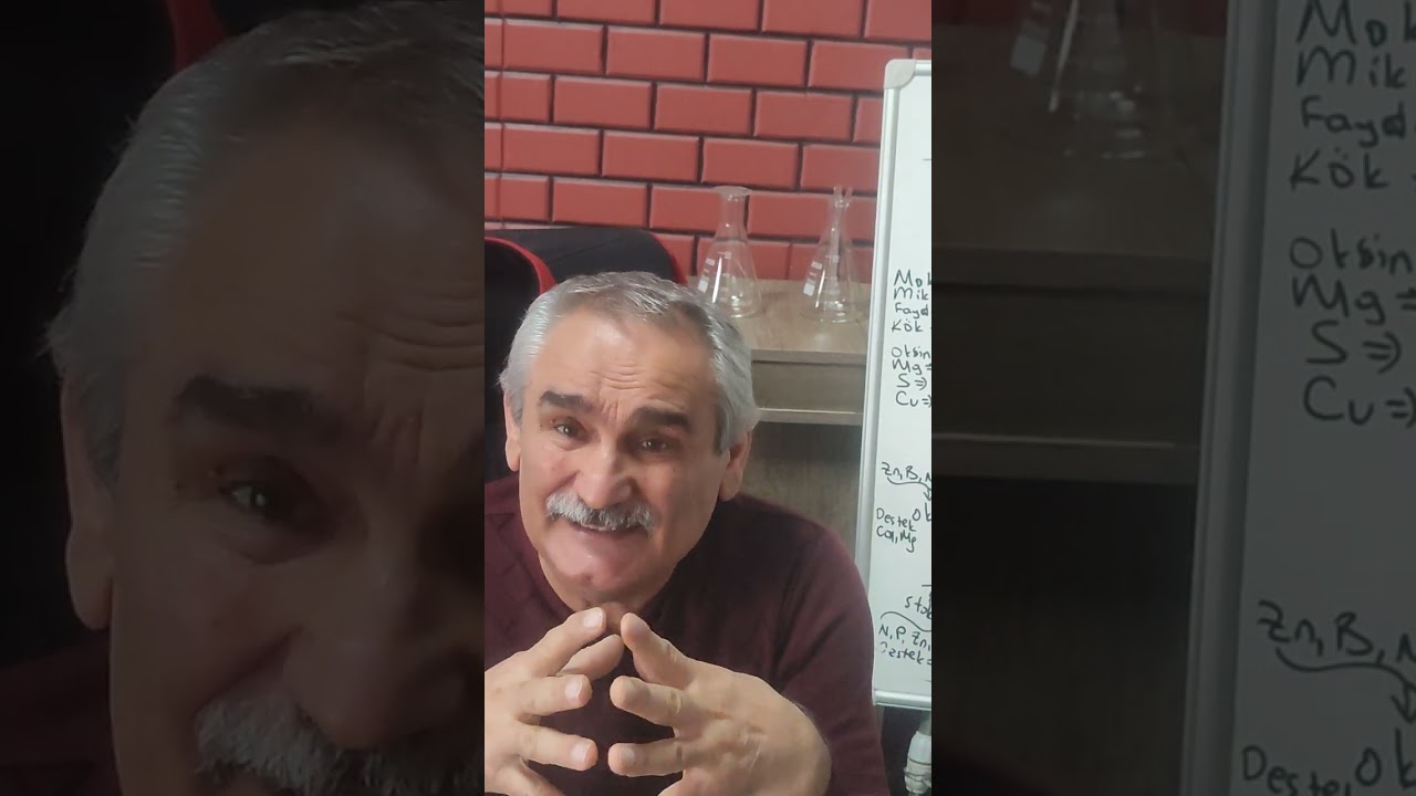 verimin formülü