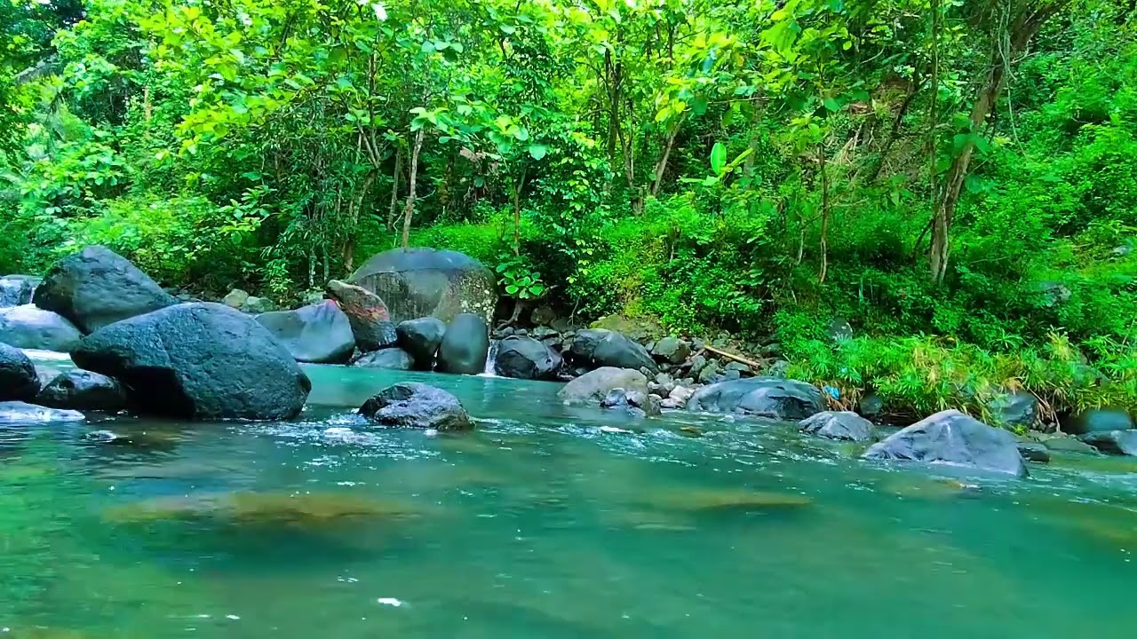 Relaxing Nature Sounds, Clear Green Forest Stream, Deep Sleep and Stress Relief