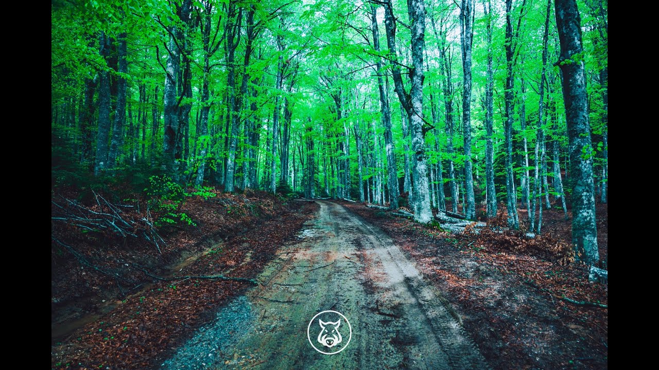 South Olympus Forest Trail Τεχνική ενημέρωση