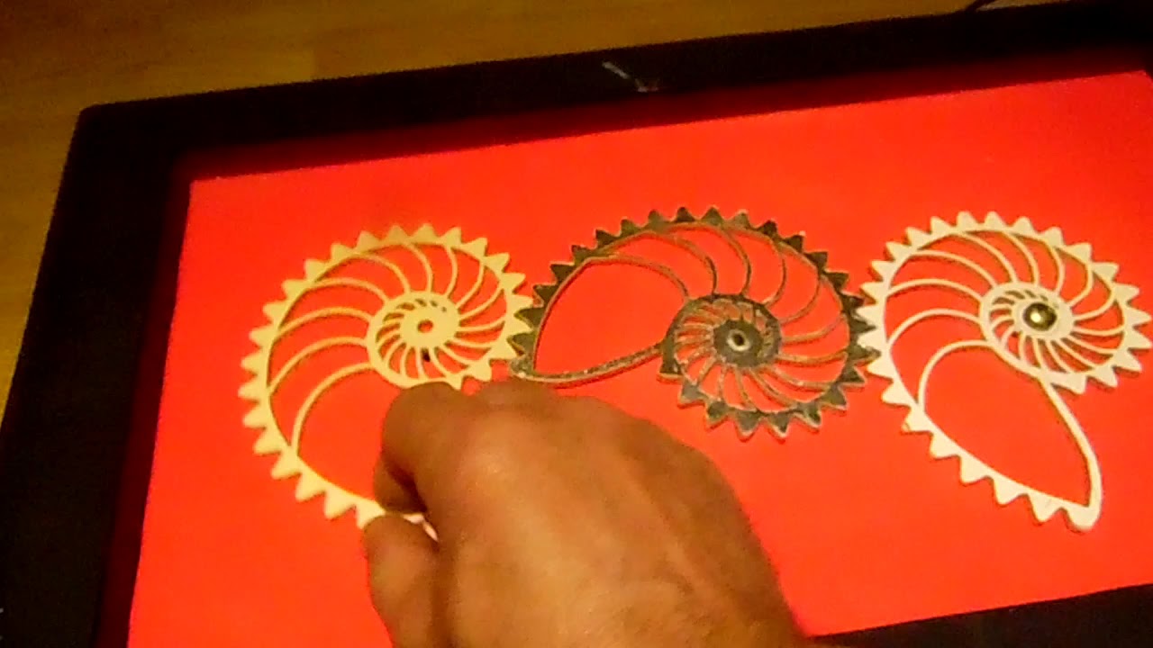 Nautilus