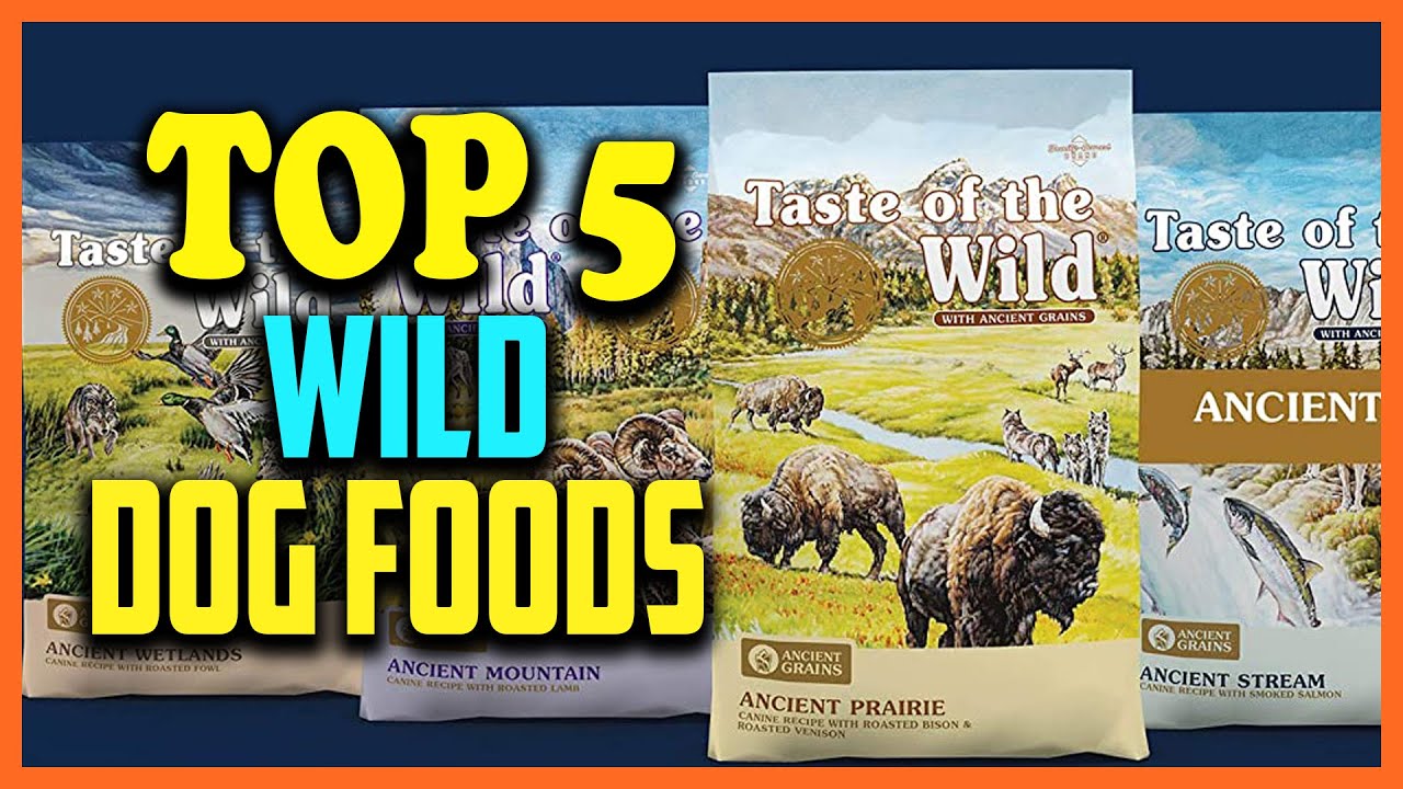 ✅Top 5 Best Wild Dog Food Reviews 2025