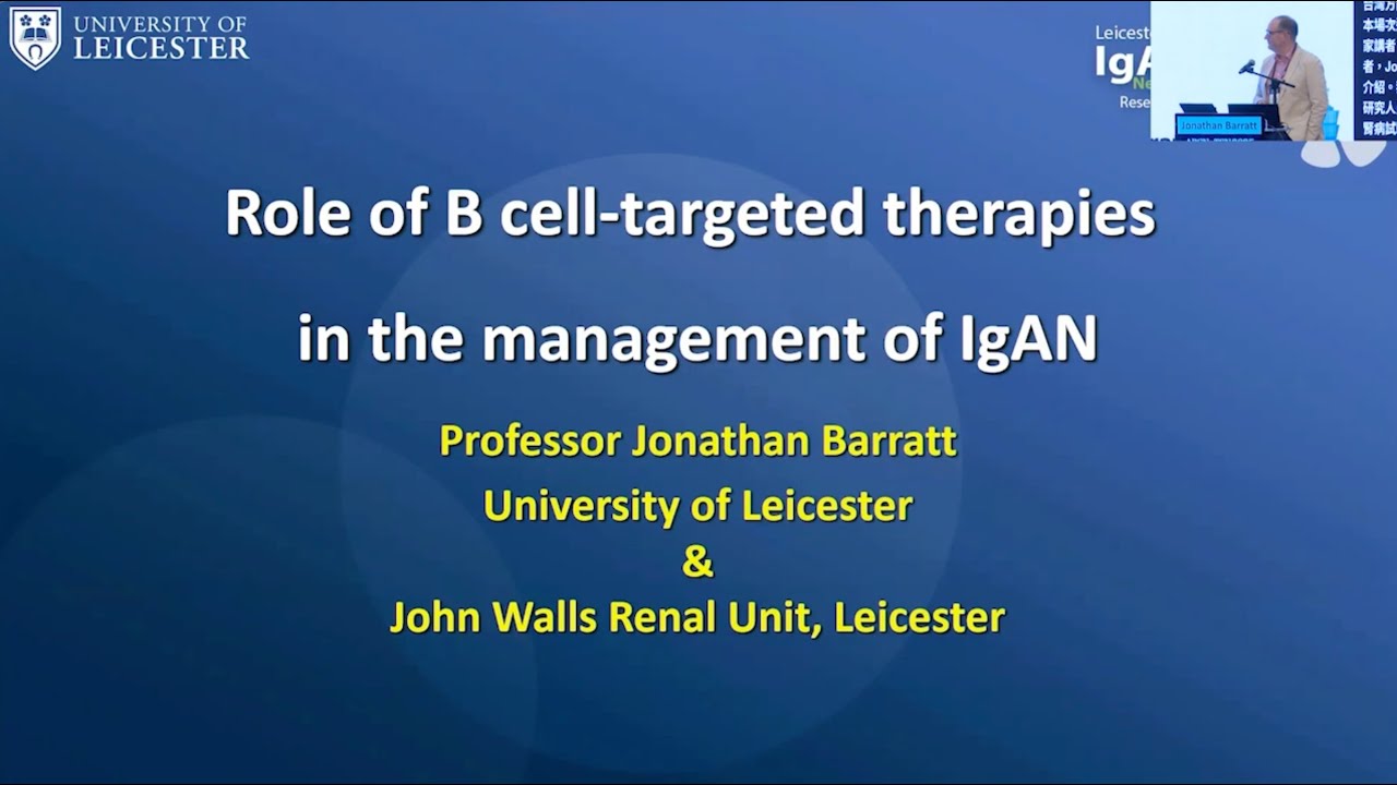 IgAN Treatment Revolution in the Making: Targeting Both Drivers and Consequences of the Disease
