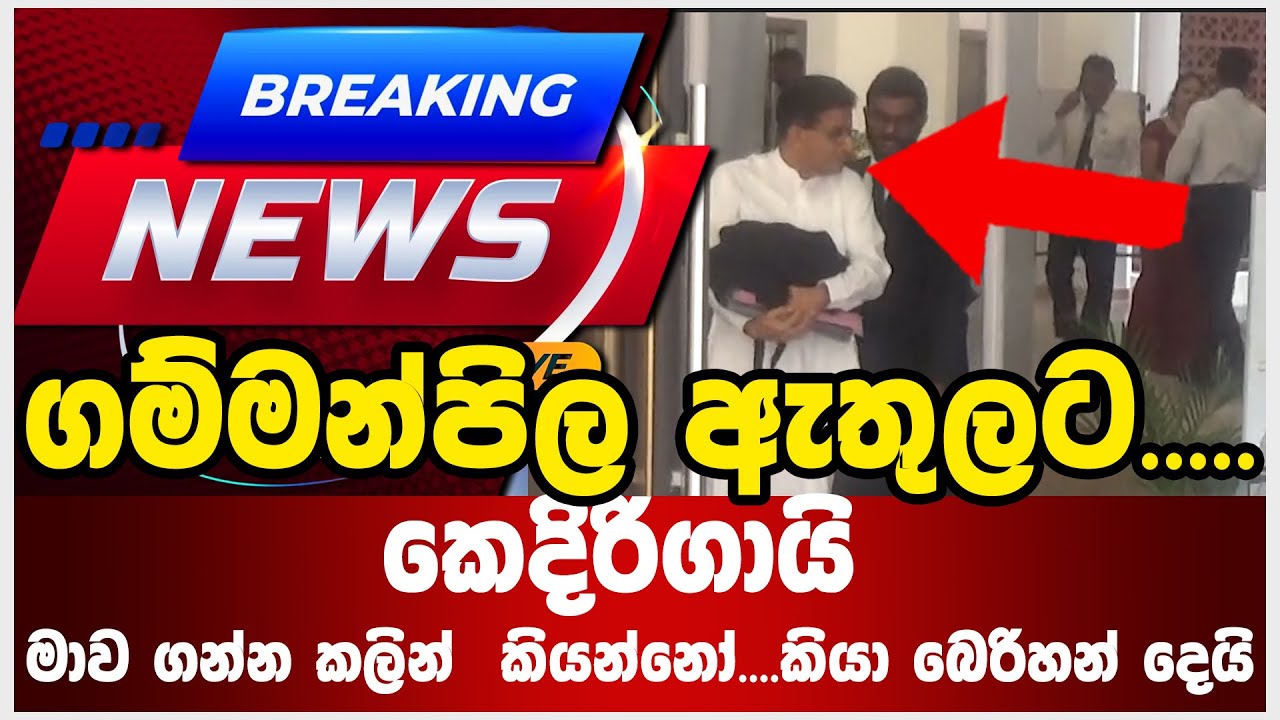 ගම්මන්පිල ඇතුලට..... කෙදිරිගායි මාව ගන්න කලින්  කියන්නෝ....කියා බෙරිහන් දෙයි- Venasa