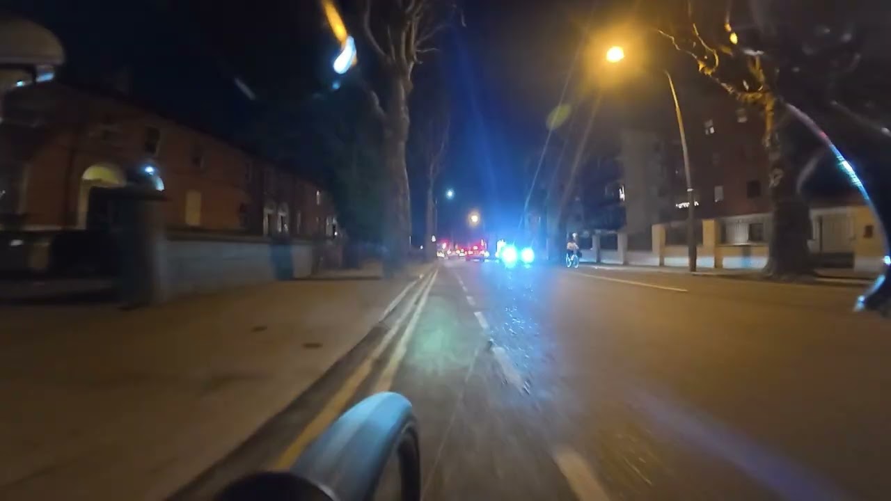02. Jan. 2026 Deer in Phoenix Park, Car driving with flat tire, Cyclist blocking the road. Enjoy :)
