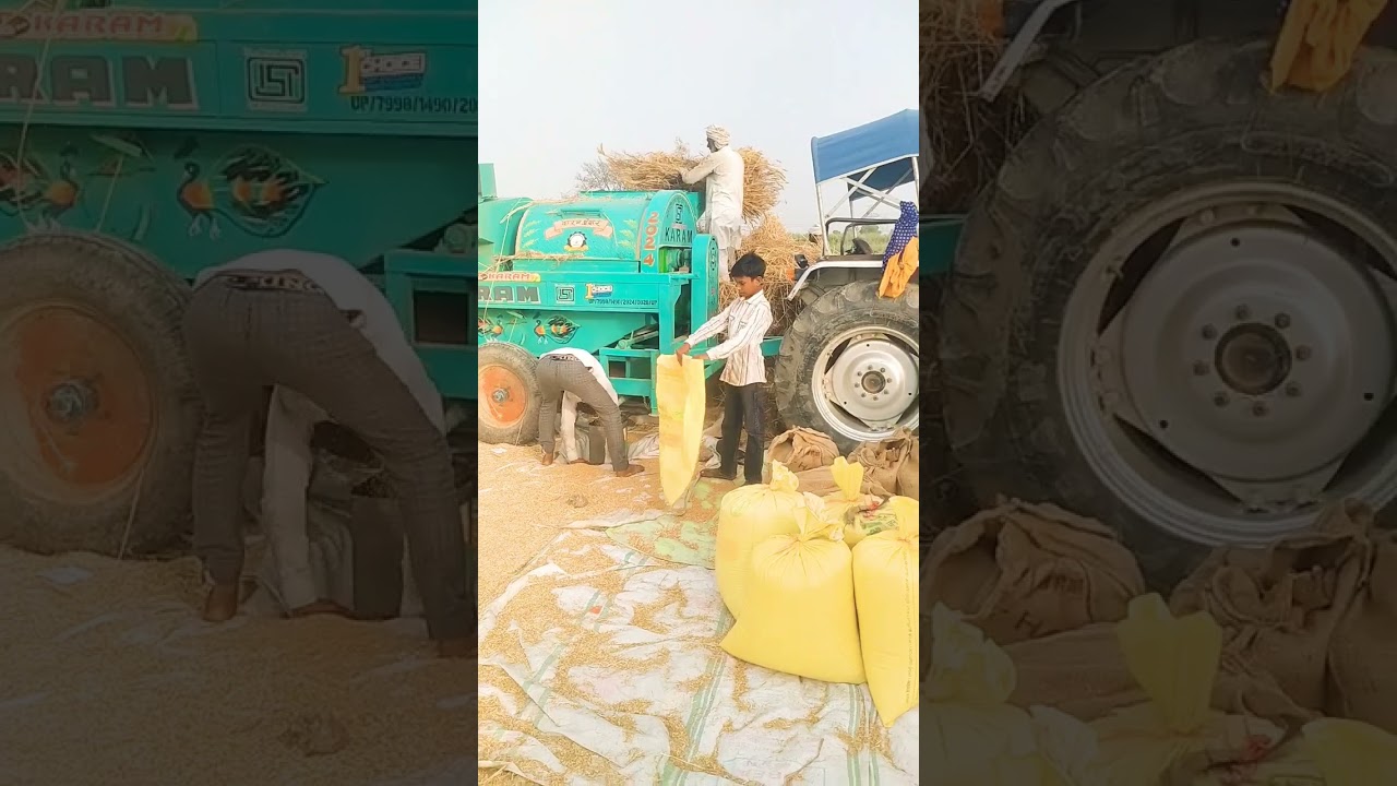 gav ke log #farming #farmar #newsong #shorts