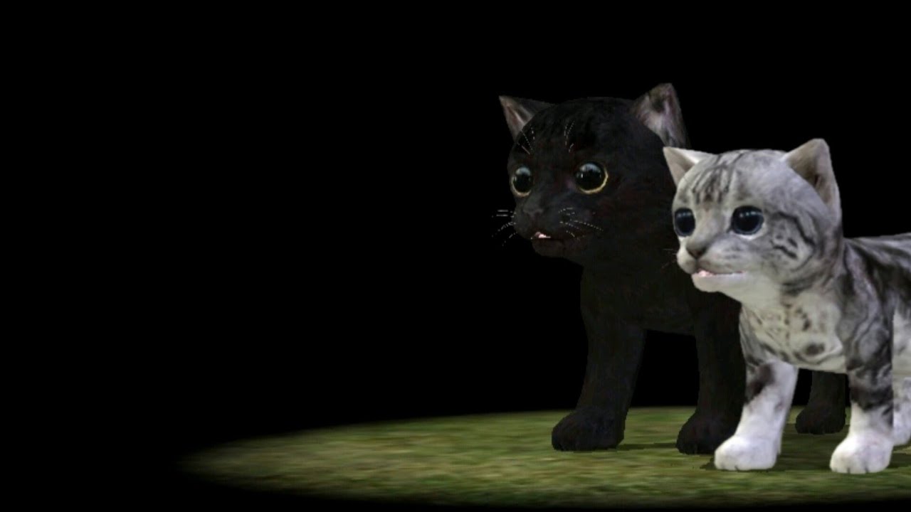 Котята в Cat sim online: Play with cats