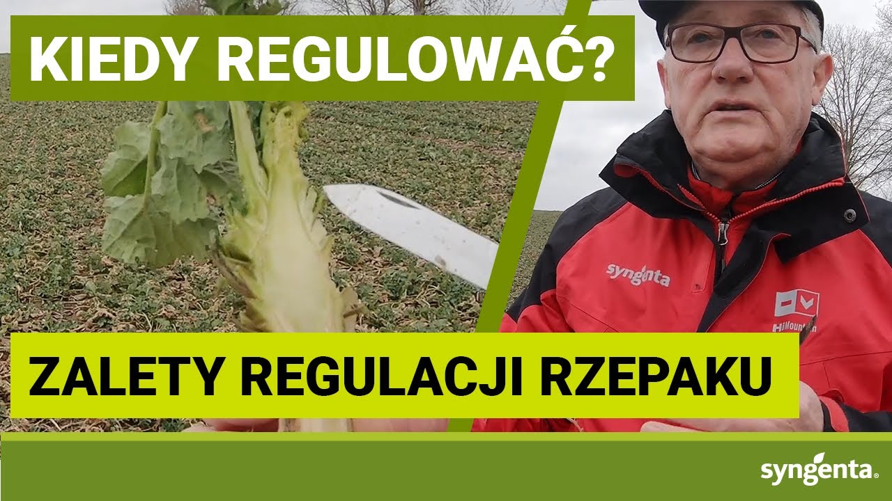 Co MUSISZ wiedzieć o regulacji wzrostu rzepaku | RZEPAK 2021| 06.04.2021 | BAJDYTY | TOPREX