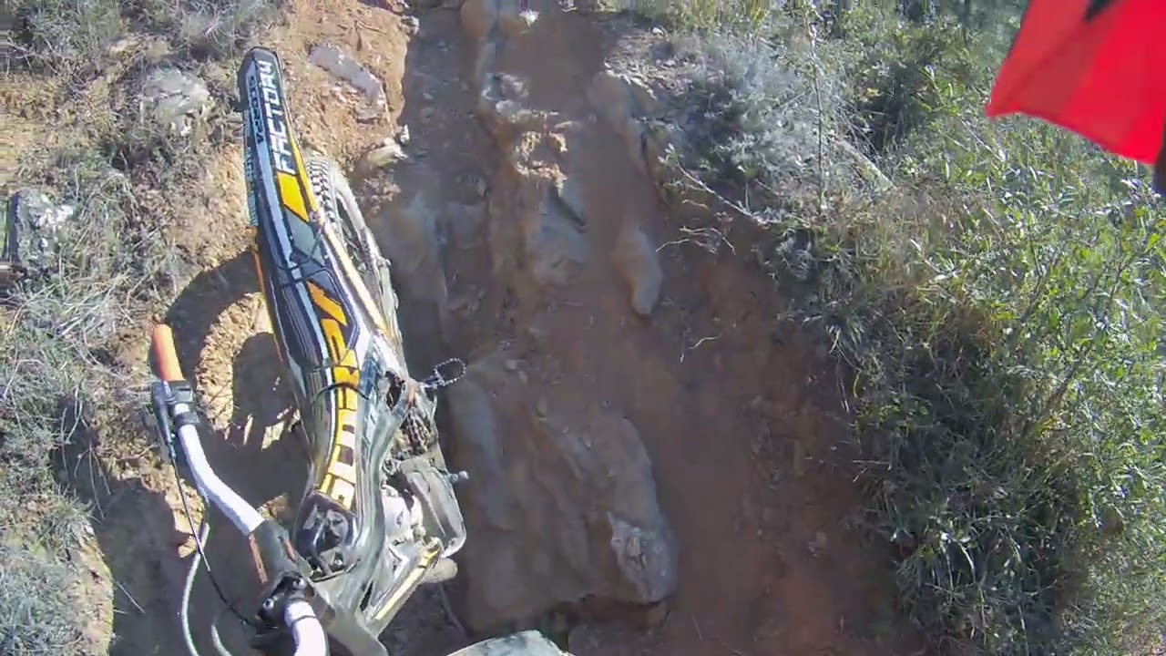 Blu del Z@mpi capottato  Albenga mulatrial del mare 2023