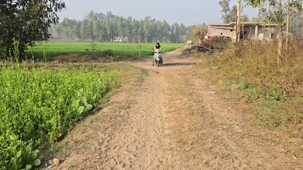 10.5 Acre land with tubewell connection for sale Ghardiwala Hoshiarpur punjab 8284905110, 9316167007