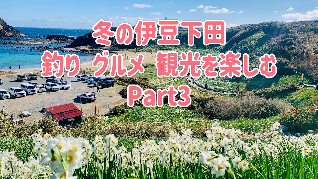冬の伊豆下田2泊3日の旅Part３ ハイキングコースで巡る絶景と水仙まつり！？【#旅 #伊豆 #下田 #水仙まつり #ハイキング #絶景 】
