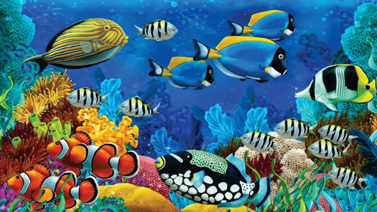 Peixes Ex&oacute;ticos e Coloridos do fundo do Oceano - Viagem com peixes coloridos ao Fundo do Mar - #