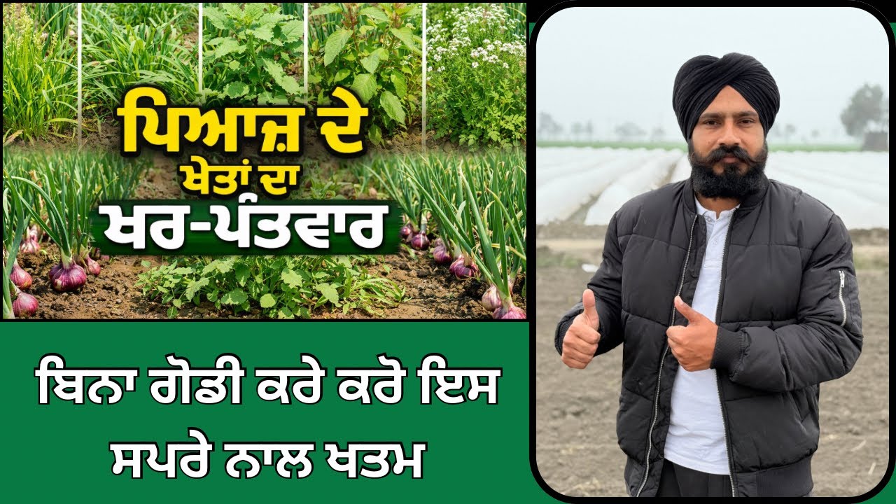 ਨਦੀਨ ਕਿਵੇ ਖਤਮ ਕਰੀਏ|Kharpatwar nashak dawa ka naam|Pyaj kharpatwar nashak|Pyaj ki Kheti 