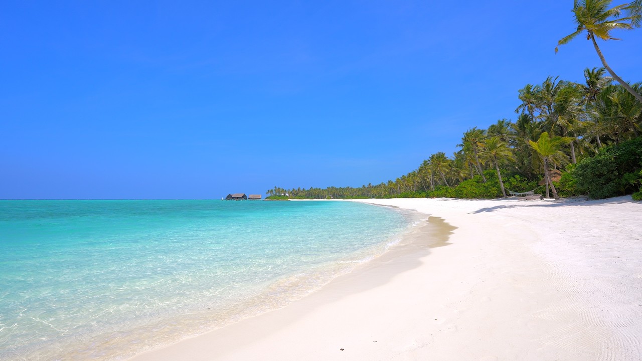 🏝 Paradise Found: Wild Beach and Crystal Ocean Waters. Relaxing Ocean video 4K Ultra HD