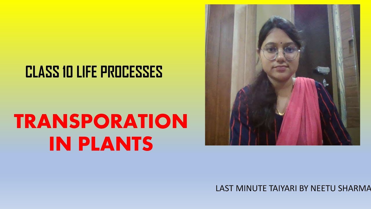 TRANSPORTATION IN PLANTS