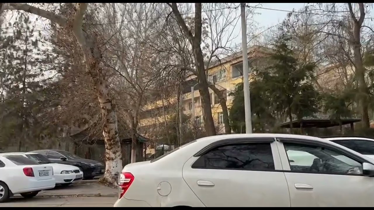 Tashkent.Анхор