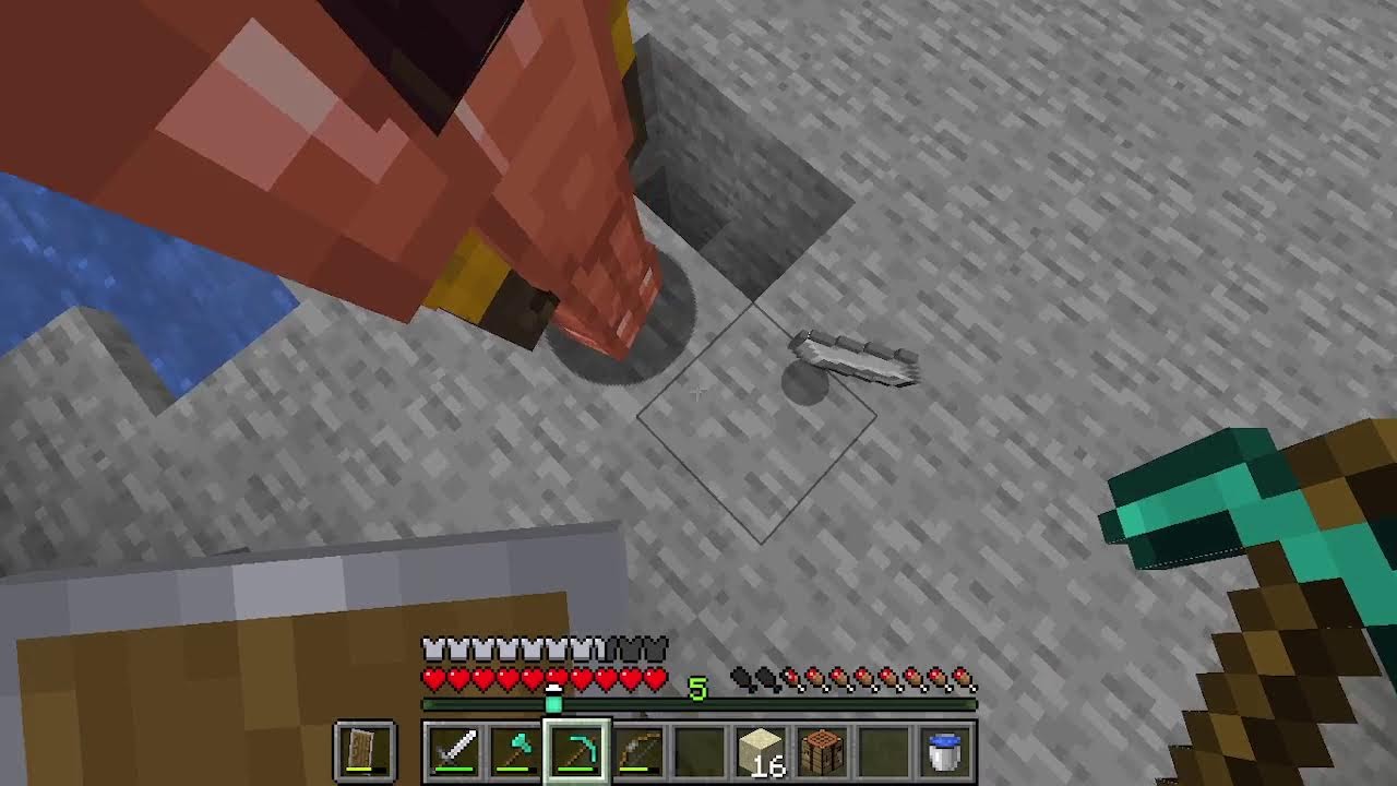 MY SERVER SURVIVAL LIVE STREAM!