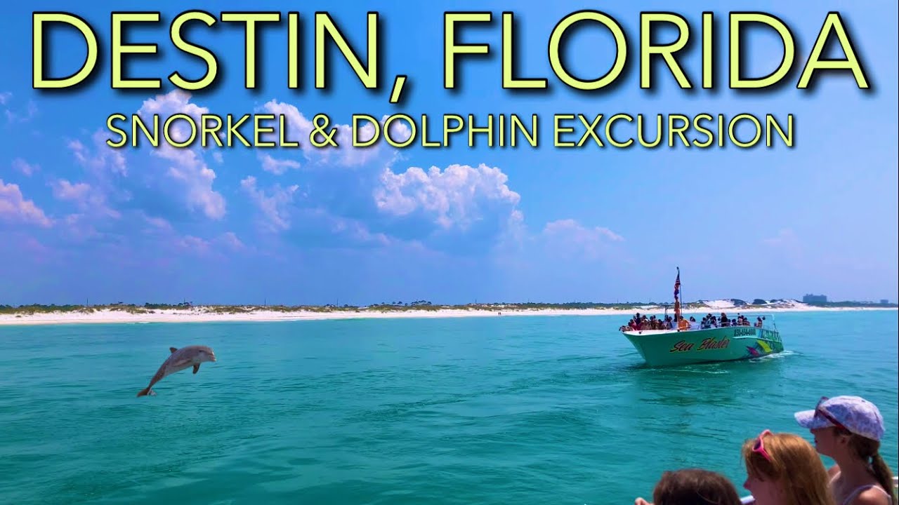 Swimming With SHARKS and DOLPHINS in Destin, Florida
