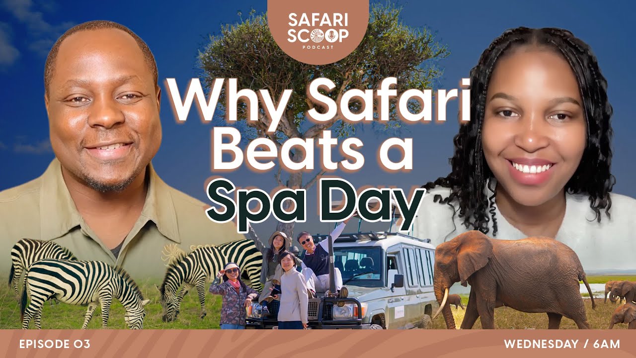 Benefits of Traveling on Safari