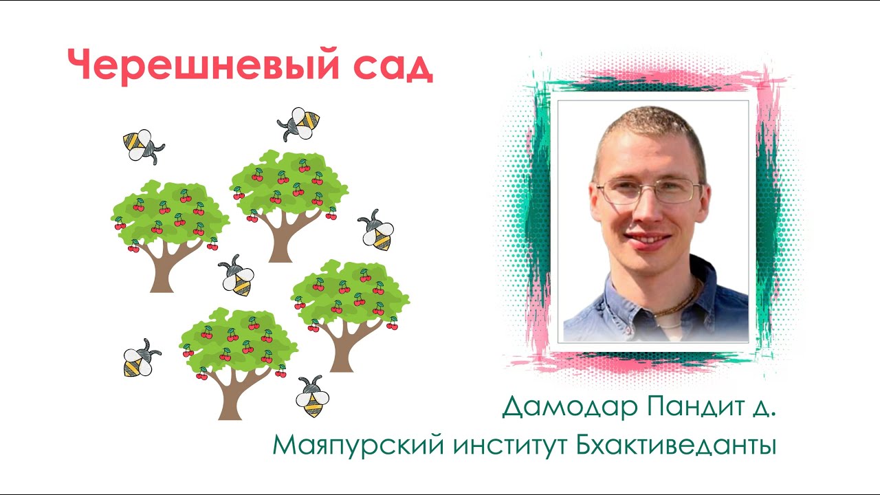 Черешневый сад. Дамодар Пандит д. Майяпурский институт Бхактиведанты