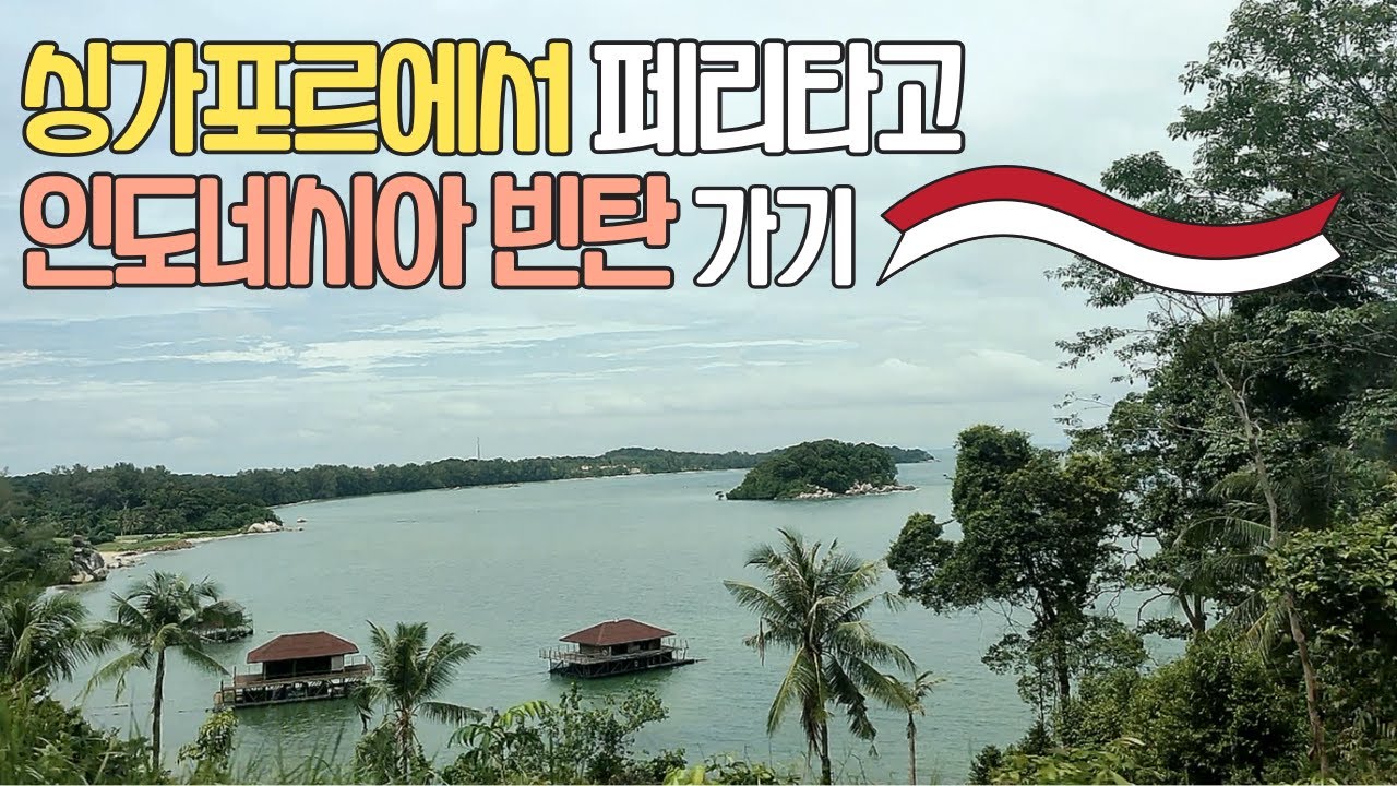 🇮🇩 #72 인도네시아 빈탄섬 | 비자 | 페리 | 반얀트리