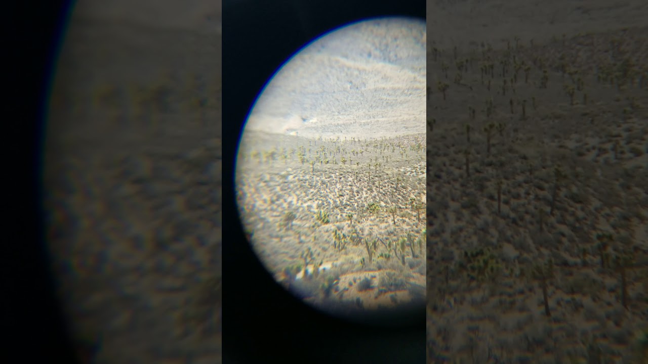 11. Area 51 - Front Gate 5