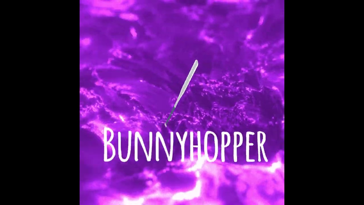 The Bunnyhopper (prod. vinez, fire)